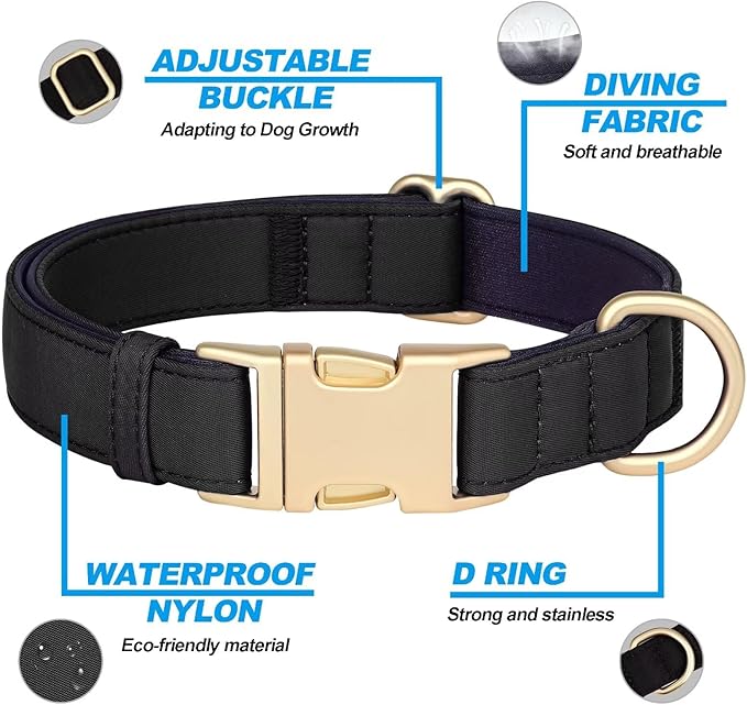Didog Colorful Soft Padded Nylon Dog Collar & 5FT Dog Leash Set for Medium Dogs