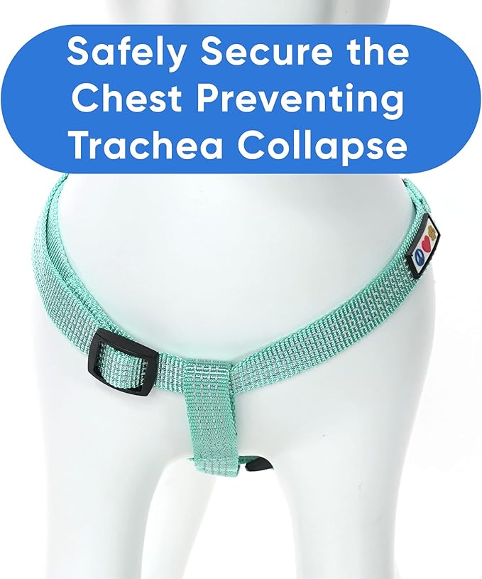 Pawtitas Reflective Step-in Dog Harness – Adjustable No-Pull Vest for Puppies to Seniors, Safe & Comfortable, S Teal