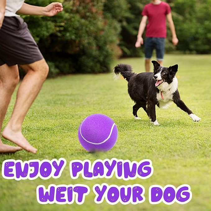 Banfeng Big Tennis Ball for Dogs, Giant Dog Tennis Ball Toy Large Outdoor Sports Gift for Small Medium Large Dog (Purple, 9.5 inch)
