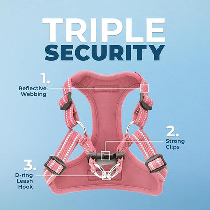 Best Pet Supplies Voyager Adjustable Step-in Flex Breathable Mesh Dog Harness for Small Medium Large Dogs (Pink), XS