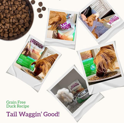 Health Extension Grain Free Duck & Sweet Potato Dry Dog Food - 30+ Superfoods and Probiotics for All Life Stages (4 lb)
