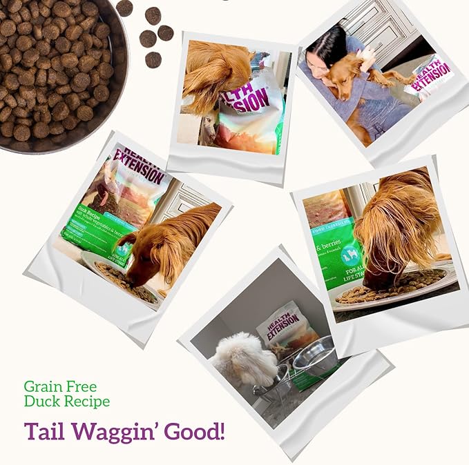 Health Extension Grain Free Duck & Sweet Potato Dry Dog Food - 30+ Superfoods and Probiotics for All Life Stages (10 lb)