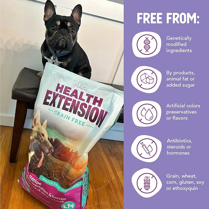 Health Extension Grain Free Salmon & Sweet Potato Dry Dog Food - 30+ Superfoods and Probiotics for All Life Stages (4 lb)
