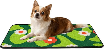 Qeils Reusable Puppy Pads for Small Dogs, Washable Pee Pads with Non-Slip , Absorbent Leakproof Mat for Crates, Playpens, Pet Beds & Whelping, Indoor Potty Training Grass Green, 16"x30", 2 Pack