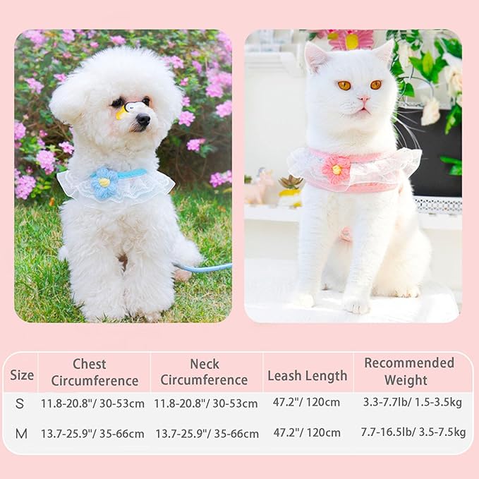 Cat Harness Collar and Leash Set, Sweet Lace Floral Kitten Collar, Escape Proof Puppy Chest Harness, Adjustable Cute Harness Leash Set for Cat Puppy Dog Outdoor Walking (Blue, M)