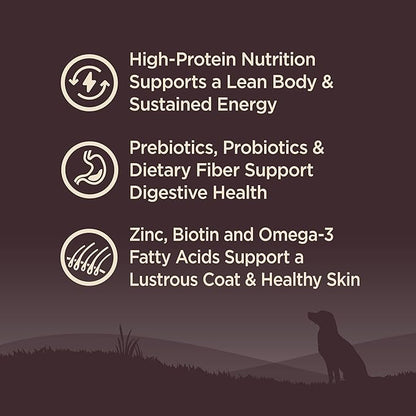 Wellness CORE Dry Dog Food, Grain-Free, High Protein, Natural, Ocean Whitefish, Herring, & Salmon Recipe, (26-Pound Bag)