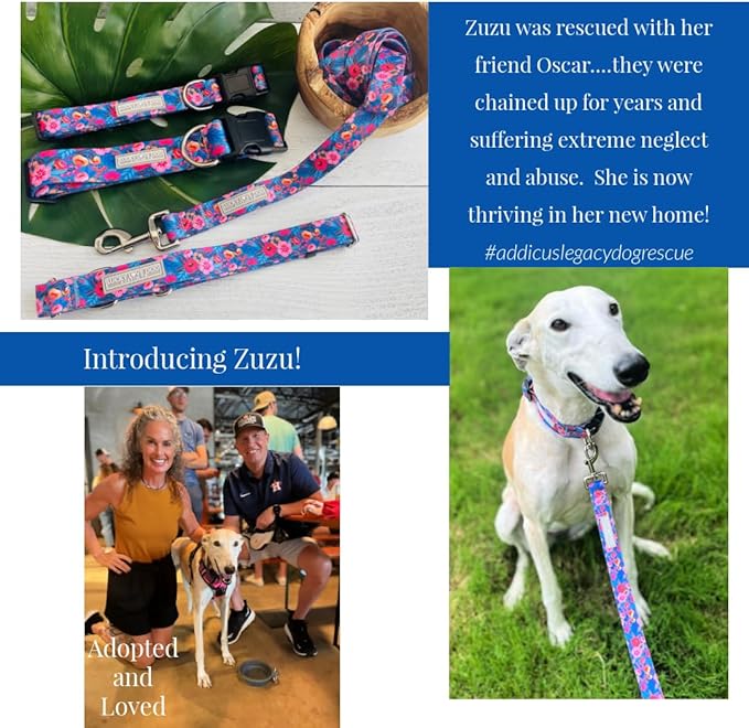 Lucky Love Dog Martingale Dog Collar - Adjustable, No-Slip, Durable, & Soft Webbing Collar for Male and Female Dogs Ideal for Training & Walking - Zuzu, Large