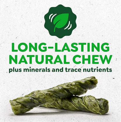 Greenies Occupy Twists Natural Dog Treats Petite Size Dog Chews Long Lasting Chicken Flavor, 8.75 oz. Pack, 10 Count