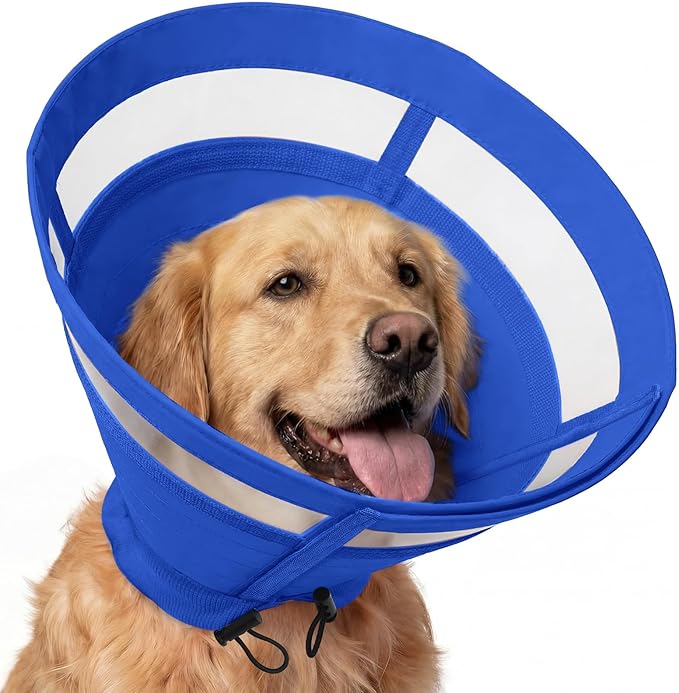 ASENKU Dog Cone Collar, Protective Recovery Dog Collar After Surgery, Comfy Adjustable Cone for Dogs to Stop Licking, Pet E-Collar for Small, Medium & Large Dogs(Blue, XL)