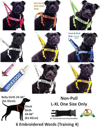 NERVOUS Yellow Color Coded 2 4 6 Foot Padded Dog Leash (Give Me Space) PREVENTS Accidents By Warning Others of Your Dog in Advance (Standard Leash)