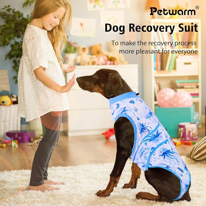 PetWarm Pet Recovery Suit for Female Dogs, Dog Surgery Suit, Cone of Shame Alternatives Bodysuit for Abdominal Affected Areas Sensitive Skin Areas, Dog Bodysuit, Marine Animal Patterns, Blue, XL