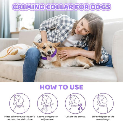 Calming Collar for Dogs 4 Pack, Purple Dog Calming Collar for Anxiety & Stress Relief, Pheromone Dog Collar for Small Medium Large Dogs, Long‑Lasting 60 Days