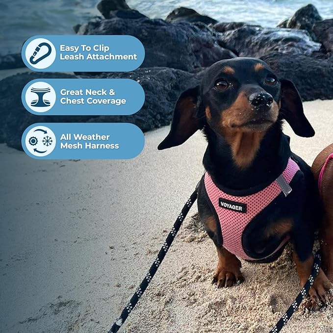 Best Pet Supplies Voyager Step-in Air All Weather Mesh Harness and Reflective Dog 5ft Leash Combo with Neoprene Handle, for Small, Medium and Large Breed Puppies - Set (Pink Base), X-Large