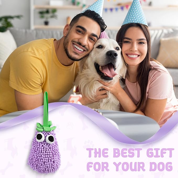 Squeaky Plush Dog Toy, Tug of War Dog Toy with Squeaker, Dog Chew Toys for Interactive Playing, Puppy Training Pull Toy Small Medium Breeds