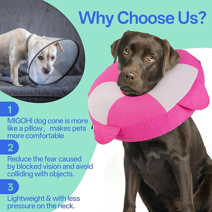 MIGOHI Dog Cone Collar Alternative for Small Dogs - Soft Recovery Donut E-Collar After Neuter Surgery, Pet Neck Protect to Stop Licking and Biting,Spay & Neuter,Not Block Vision(M,Rosepink)