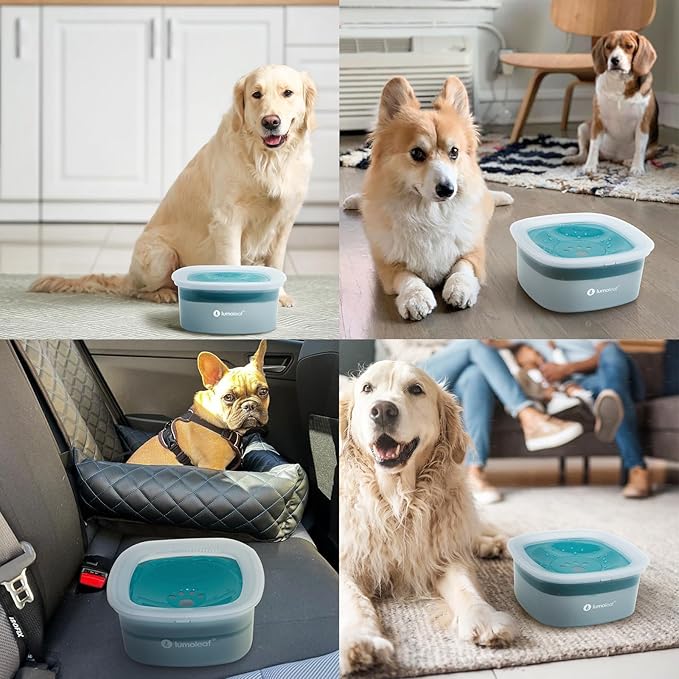 LumoLeaf No Spill Water Bowl for Dogs, Slow Feeder for Messy Drinkers, Drip-Free & Splash-Proof Design (Blue, 70oz).