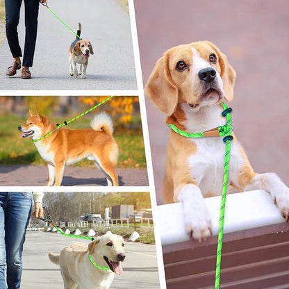 lynxking Slip Lead Dog Leash Reflective, Heavy Duty Comfortable Strong Rope for Large Medium Small Dogs No Pull Pet Training (Light Green, Large 1/2in x 6ft-Slip Lead)