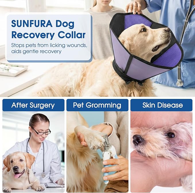 Dog Cones for Large Dogs, Soft Cone for Dogs to Stop Licking, Adjustable Dog Cone Collar Alternative After Surgery for Wound Care, Spay, Neuter, Black XL