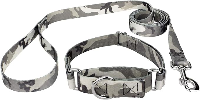 Country Brook Petz - Urban Camo Martingale Dog Collar and Leash - Camouflage Collection Featuring Rugged Designs (1/2 Inch, Extra Small)
