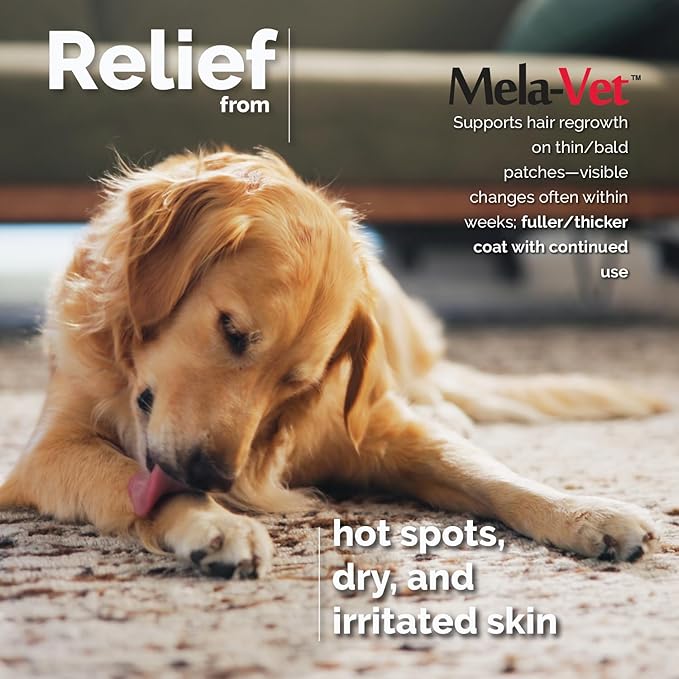 Melatonin Calming Soft Chews for Dogs, Vet-Formulated to Provide Relaxation & Anxiety Relief, Helps Reduce Stress & Tension-Supports Healthier Skin & Coat.120 Tasty Soft Chews.