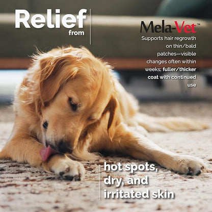 Melatonin Calming Soft Chews for Dogs, Vet-Formulated to Provide Relaxation & Anxiety Relief, Helps Reduce Stress & Tension-Supports Healthier Skin & Coat.120 Tasty Soft Chews.