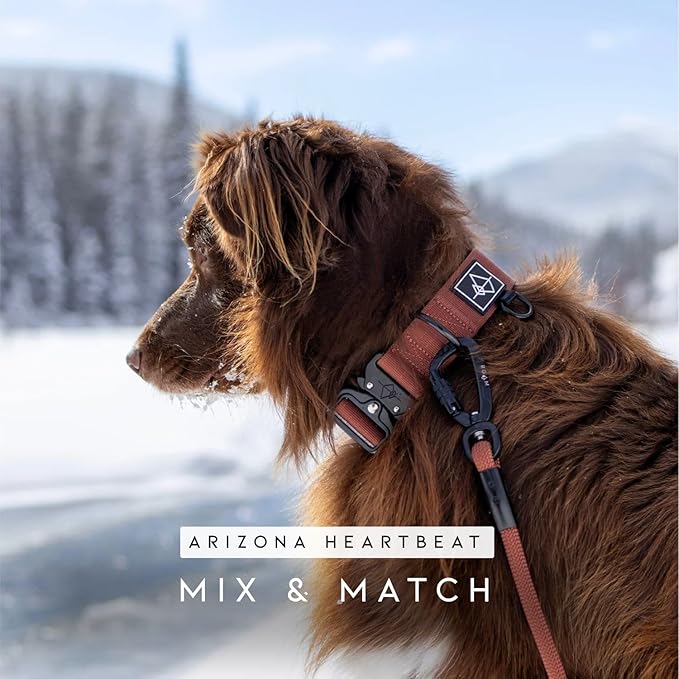 MADE TO ROAM Premium Explorer Leash - Climbing Rope Leash with Autolocking Aviation Aluminum Carabiner - Washington Rain, 4ft