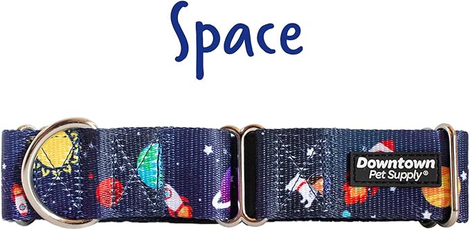 Downtown Pet Supply - Martingale Collar for Dogs - Dog Training Collar - Big, Wide & Thick Dog Collar - Escape-Proof, Weatherproof, Durable and Comfortable - Space - Small Dog Collar