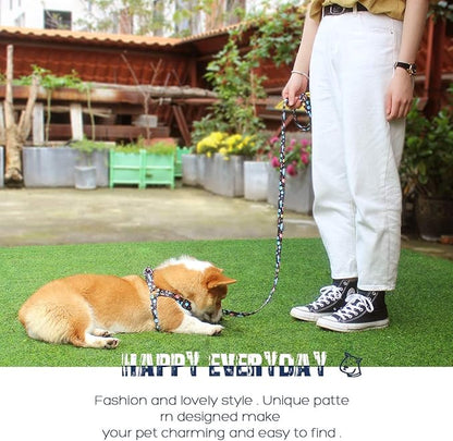 QQPETS Dog Harness Leash Set Adjustable Heavy Duty No Pull Halter Harnesses for Small Medium Large Breed Dogs Back Clip Anti-Twist Perfect for Walking (S(14"-20" Chest Girth), Space)