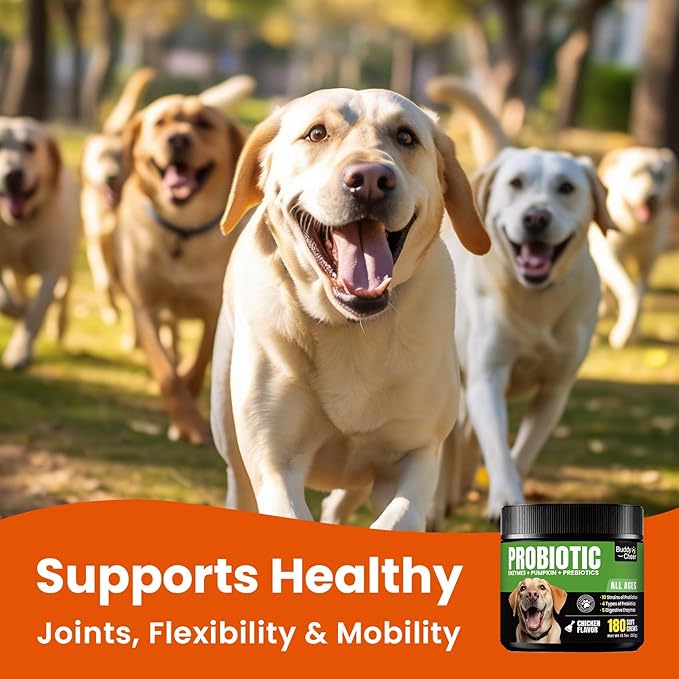 Probiotics for Dogs - Dog Probiotics with 5 Enzymes & 4 Prebiotics for Itchy Skin, Pet Probiotics lab for Digestion & Gut Support, Helps Diarrhea, Yeast Infection, Allergies & Immune System -180 Chews