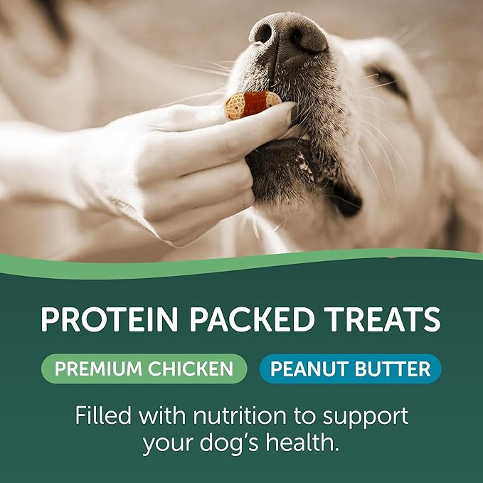 Healthfuls Chicken & Peanut Butter Flavored Dog Biscuits, 16oz