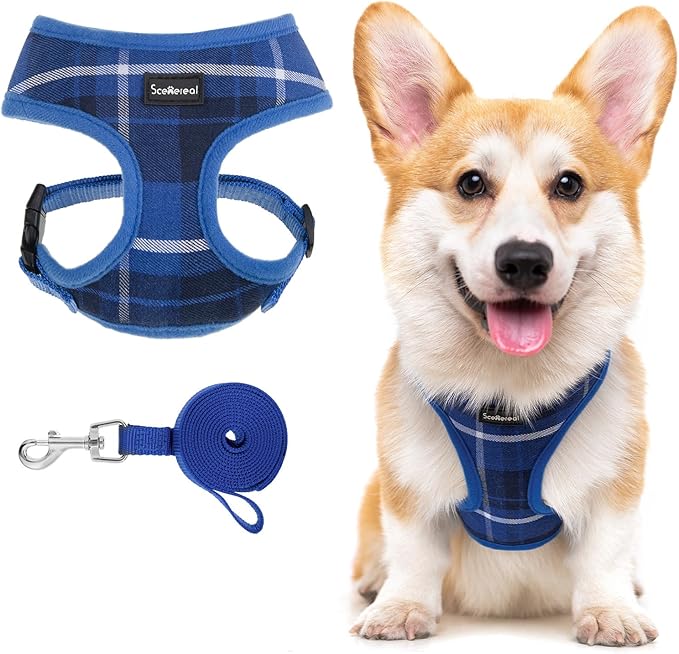 SCENEREAL Puppy Dog Harness with Leash Set for Small Medium Sized Dogs, Soft Mesh Pet Harnesses and Leash, No Chock Plaid Adjustable No Pull Vest for Dogs Cats, Chihuahua,Bulldog (Blue M)