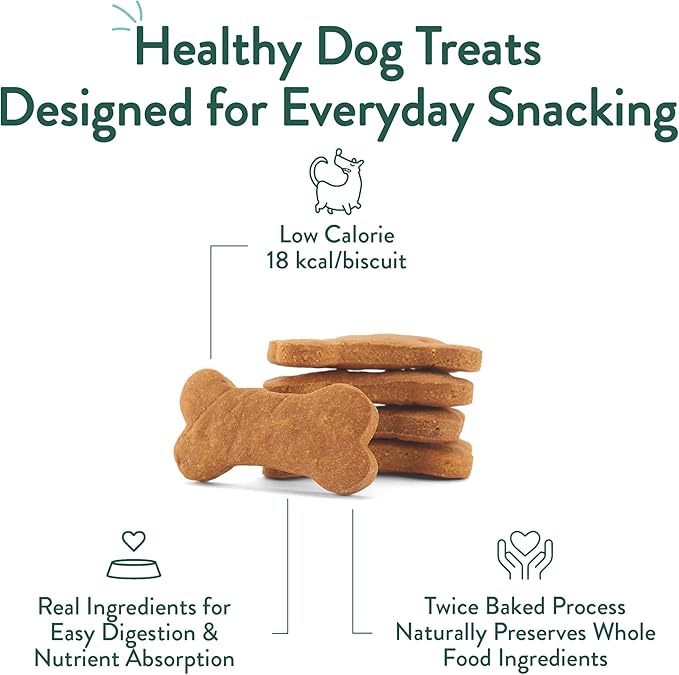 Portland Pet Food Company Healthy Dog Treats Vegan Variety Pack - Grain-Free, Human-Grade, Apple, Gingerbread, Pumpkin Treats - Natural Dog Training Treats & Biscuits Made in the USA Only - 3-Pack
