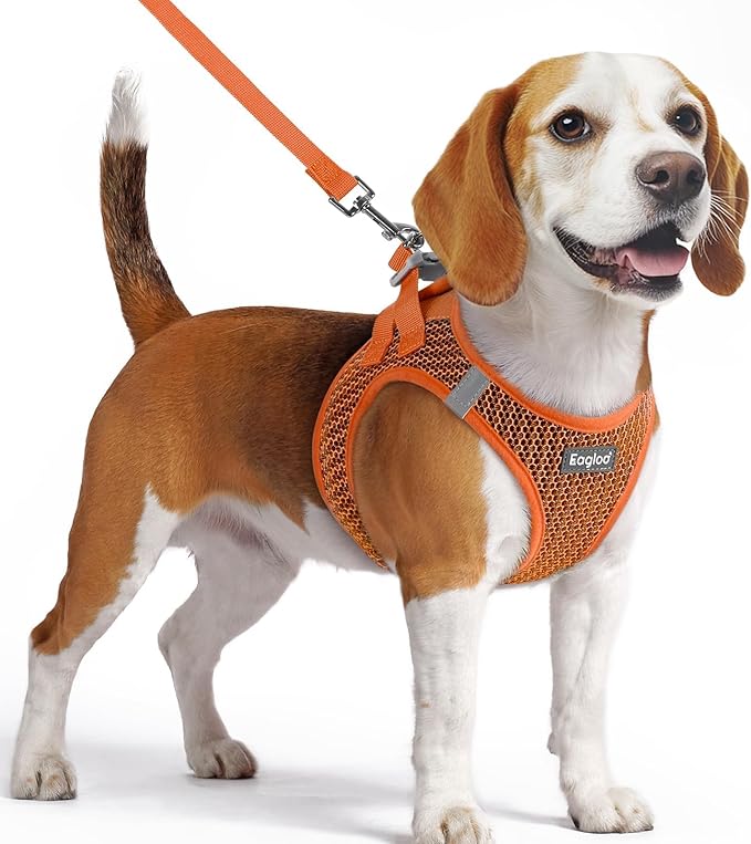 Eagloo Small Dog Harness and Leash Set, Step in Puppy Vest with Breathable Soft Mesh, Walking Reflective Pet Harness for Small Dogs, Orange, M
