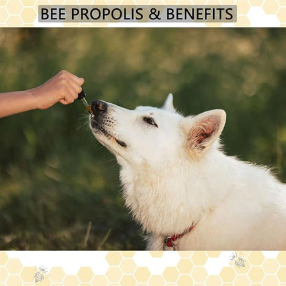 Accretion Bee Propolis for Dogs & Cats, 2 fl oz, Dental Defense & Respiratory Health, Supports Seasonal Immunity & Immune System, Natural Oral Care Supplement