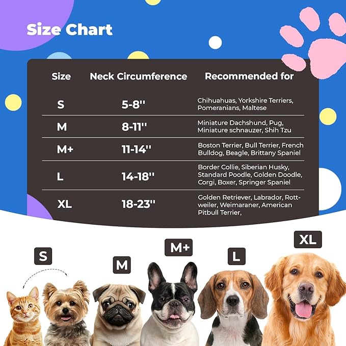 Inflatable Dog Cone Collar for Dogs and Cats, Dog Neck Collar Recovery E Collar Alternative After Surgery, Elizabethan Collar Alternatives for Dogs Recovery (Purple Blue, M)