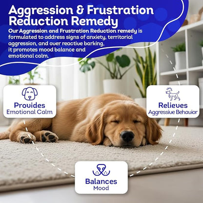HA4E - Calming Tablets for Stressed and Aggressive Dogs - Reduce Dog Aggression & Promote Relaxation - All-Natural, Homeopathic Remedy - Tablets, Kennel Size (Extra Large)
