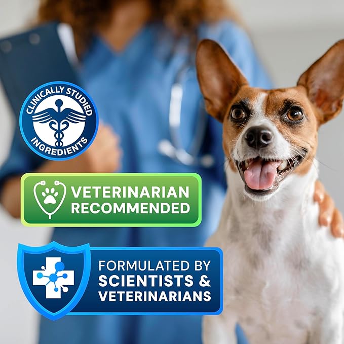 Animal Biome S. Boulardii + FOS Powder Probiotics for Dogs & Cats 30g – Pet Supplements Saccharomyces Boulardii Dog Probiotic with Prebiotic FOS for Gut Health, Digestive Support & Firmer Stool