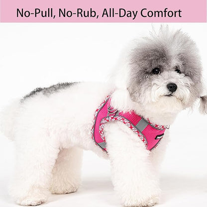 Petank Dog Harness for Small Medium Dogs No Pull, Puppy Harness and Leash Set for Walking, Running, Training, Small Dog Harness, Medium Dog Harness (Rose Red, M)