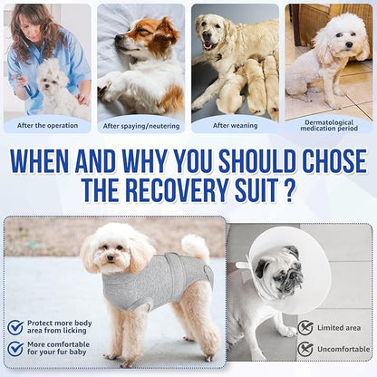 Lukovee Recovery Suit for Dogs, Zipper On Recovery Suit for Female Male Dog, Onesie Abdominal Wounds Cone E-Collar Alternative Prevent Licking Spay Recovery Suit (Large, Gy)