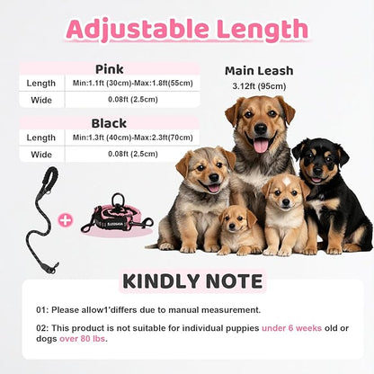 Double Dog Leash - 360°Swivel Tangle Free Splitter Attachment, 1 Rope with Handle, 2 Dogs Multi-Functional Leash, for Outdoor Walk Train Small Medium Large Two Pet, Pink