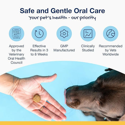 ProDen PlaqueOff Soft Chews with Natural Kelp - for Large & Giant Breed Dogs - Supports Normal, Healthy Teeth, Gums, and Breath Odor in Dogs - 90 Soft Chews