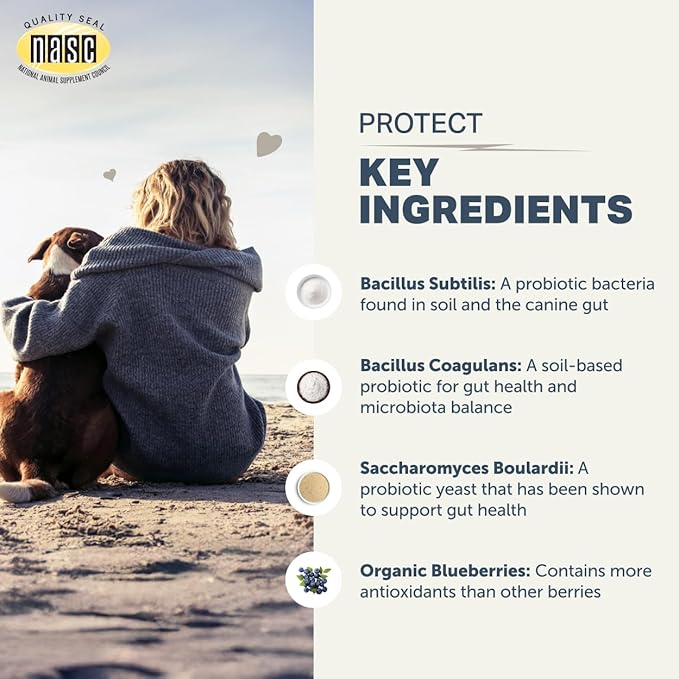 Protect - Probiotics for Dogs - Veterinarian Formulated - with Natural Prebiotics and Antioxidants - Detoxification & Gut Health - 60 Day Large Dog Supply