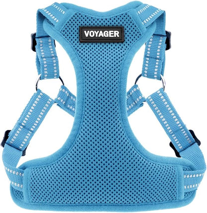 Best Pet Supplies Voyager Adjustable Step-In Flex Breathable Mesh Dog Harness for Small Medium Large Dogs (Baby Blue), L
