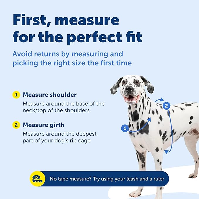 PetSafe 3-in-1 Harness - Comfortable Easy-Walk Dog Chest Harness with Front Leash Attachment to Reduce Pulling, Choking & Gagging - Dog Obedience Gear - Large- Teal