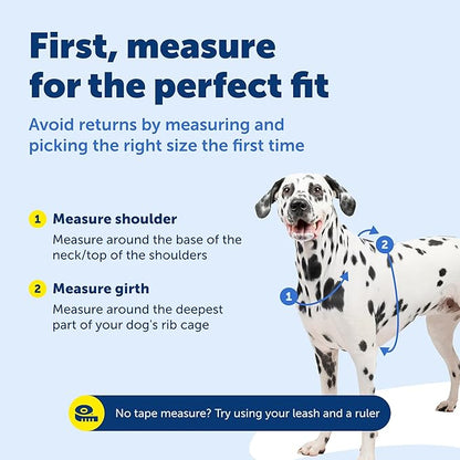 PetSafe 3-in-1 Harness - Comfortable Easy-Walk Dog Chest Harness with Front Leash Attachment to Reduce Pulling, Choking & Gagging - Dog Obedience Gear - Medium - Teal