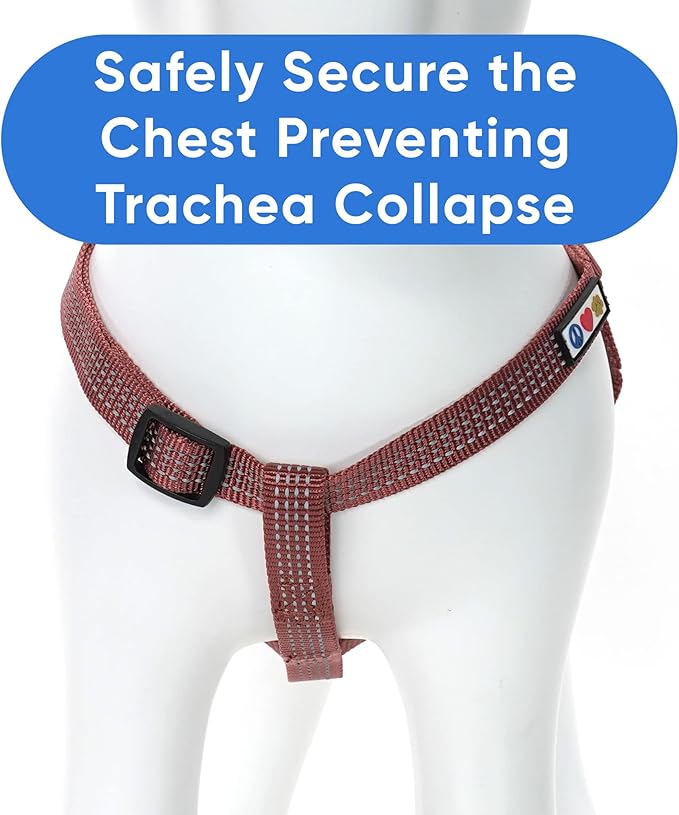 Pawtitas Reflective Step-in Dog Harness – Adjustable No-Pull Vest for Puppies to Seniors, Safe & Comfortable, L Marsala