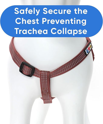 Pawtitas Reflective Step-in Dog Harness – Adjustable No-Pull Vest for Puppies to Seniors, Safe & Comfortable, L Marsala