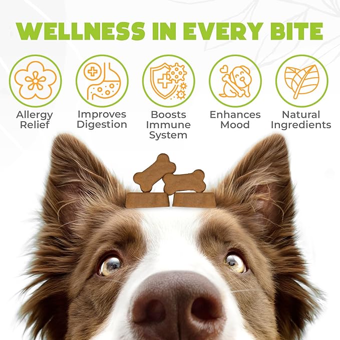 Dog Allergy Chews - 150 Pcs - Allergy Relief for Dogs - Supplements for Itchy Skin & Paw Licking - US Formula with Probiotics, Natural Ingredients & Vitamins - Chicken Flavor