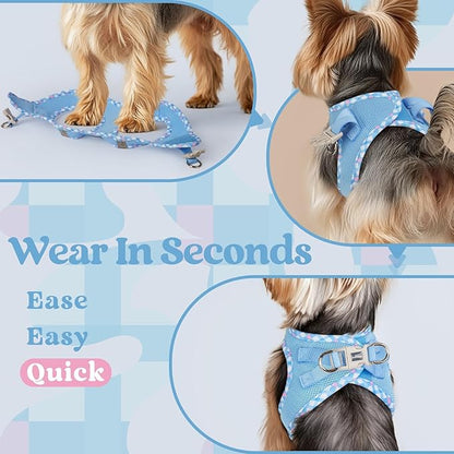 rabbitgoo Small Dog Harness, Step-in Soft Mesh Puppy Vest with Safety Buckle, Breathable Reflective Pet Harness for Small Medium Dogs, Blue & Plaid Trim L