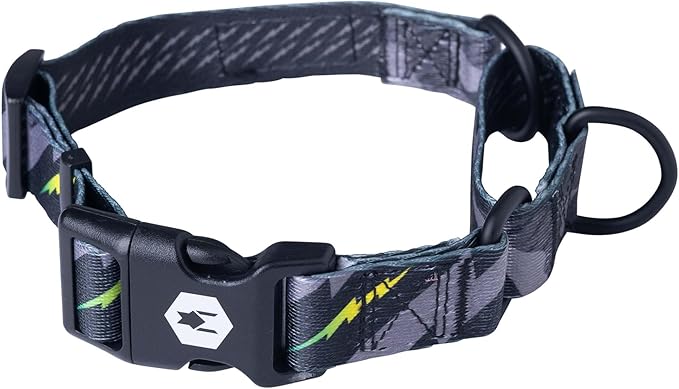 Wolfgang Heavy Duty Martingale Dog Collar with Quick Release Nylon Buckle for Walking & Training, DarkSkies Print, Extra Large